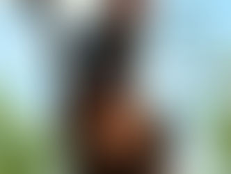 Review us on great non-profits