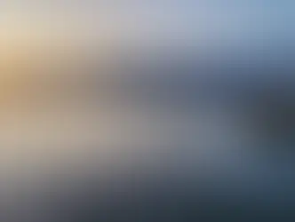 What to see and do on Port AdVenture Cruises in Port Macquarie