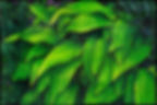 Decorative botanical oil painting Rustle by Catherine Snowstorm. Dynamic green leaves rhythm with tiny purple and crimson flower accents.