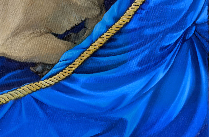 Macro of the decorative setting in the pug portrait — the royal blue satin pillow with luminous fabric folds and twisted gold rope piping running diagonally across the frame. Academic oil painting rendering of fabric: every fold, crease, and light reflection painted with precision. The setting elevates this custom pet art into the formal portrait tradition.