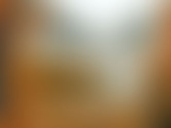 the Alpine Larch trees changing colors around Salmon La Sac lake in the wintertime in Central WA. Mountains loom beautifully behind the lake