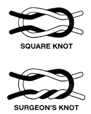 knots1_edited.gif