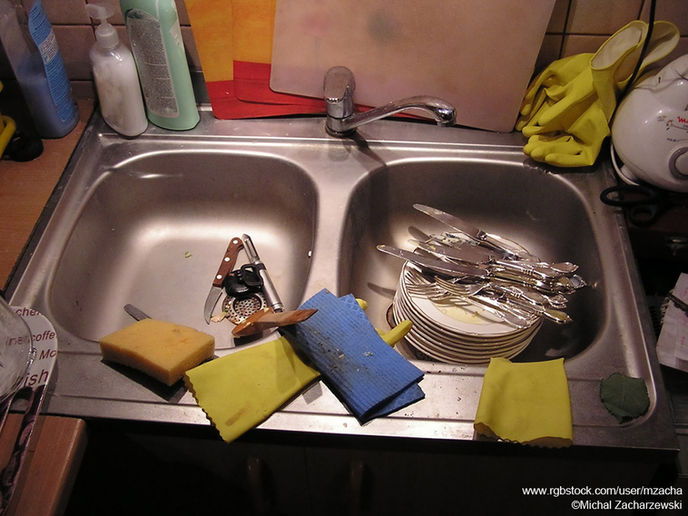 It's No Dirty Dishes Day: Will you or won't you do the dirty?