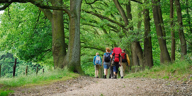 Wandelen Groesbeek.jpeg