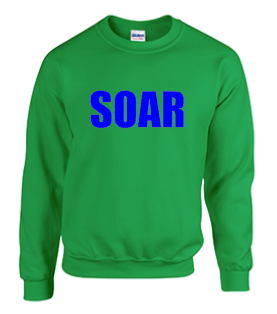 Green Crewneck Sweatshirt