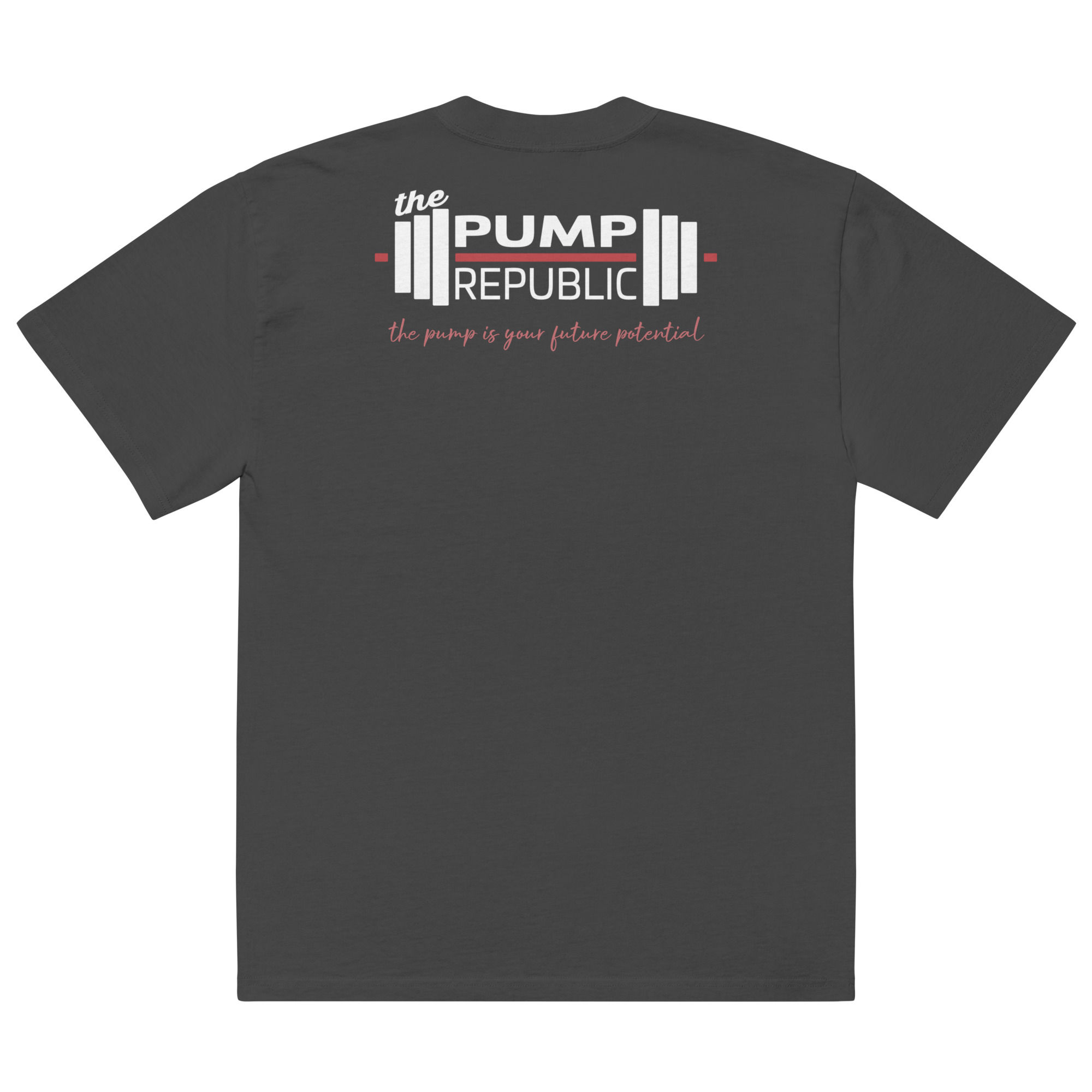 Oversized faded t-shirt | The Pump is Your Future Potential (BACK)