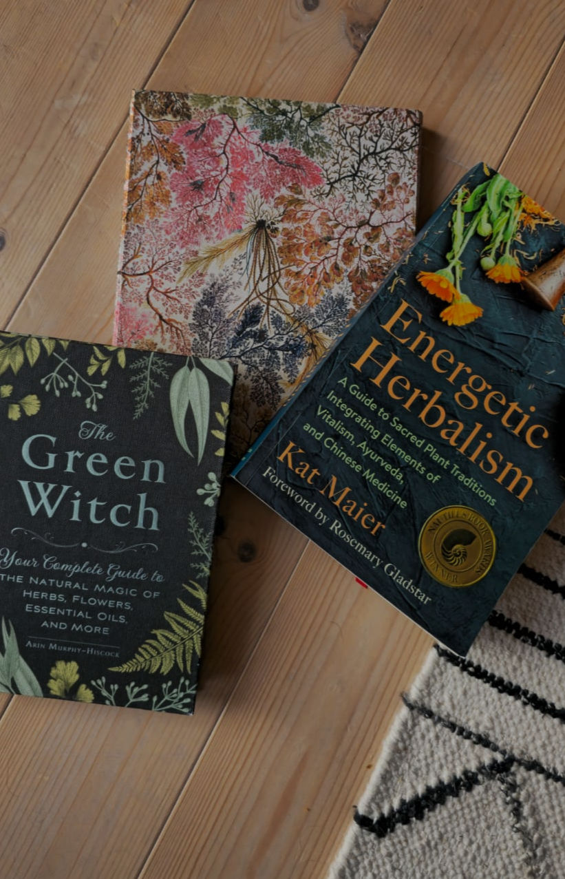New year intention: Deepening my relationship with herbalism