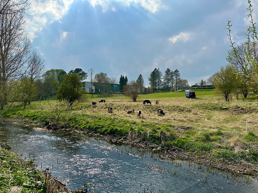Referat fra Generalforsamling: Nyt navn - Foreningen Lejre By