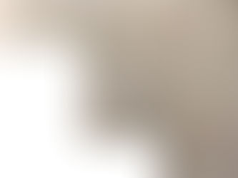 Støjvold i Gevninge