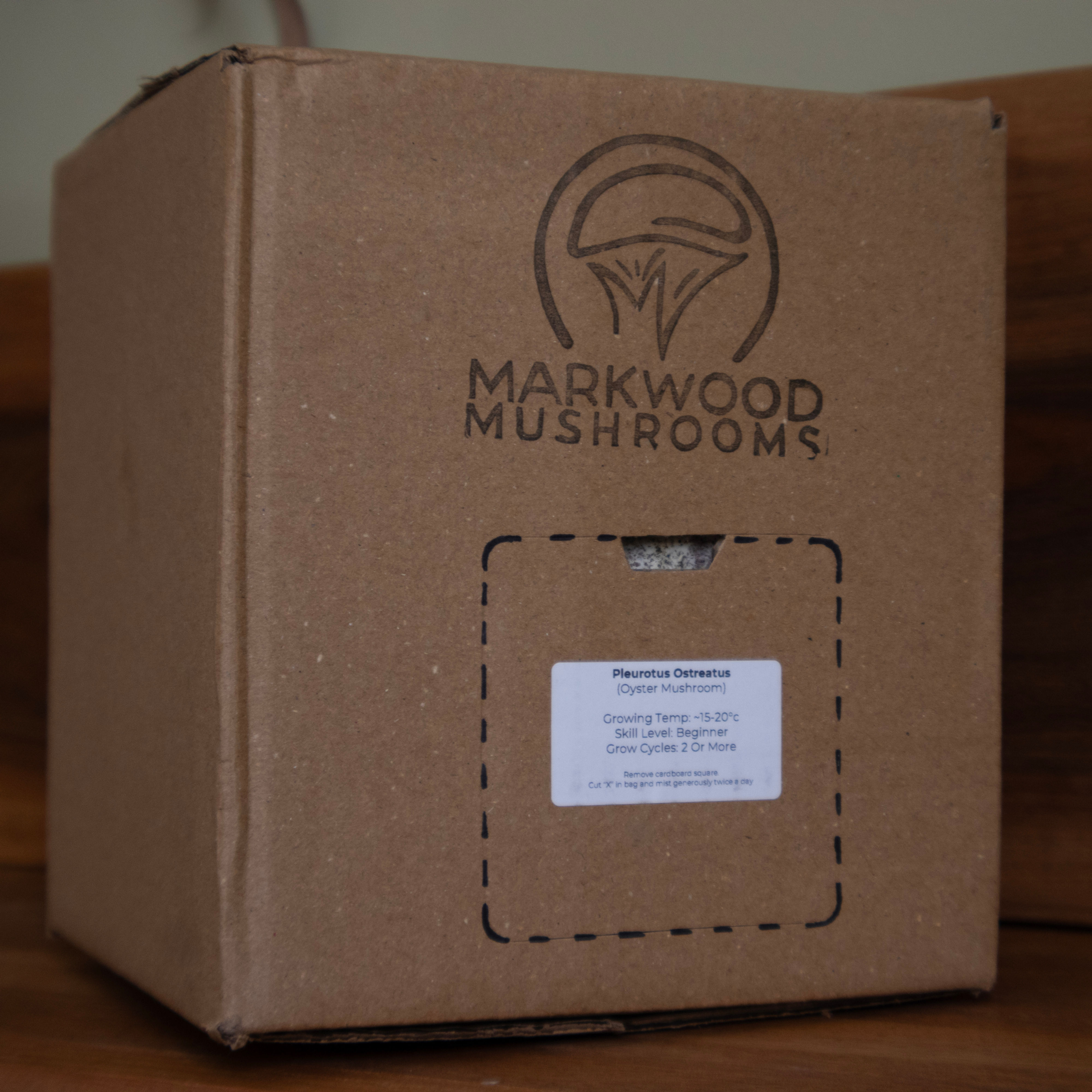Mushroom Grow at Home Kit