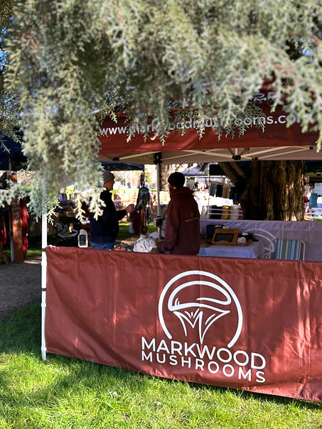 markwood-mushrooms-market.jpg