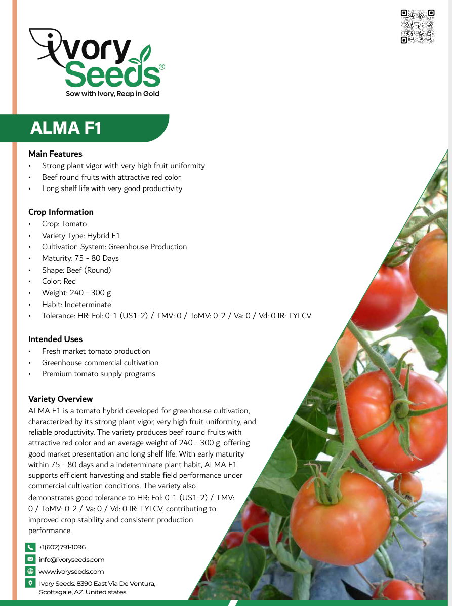 ALMA F1