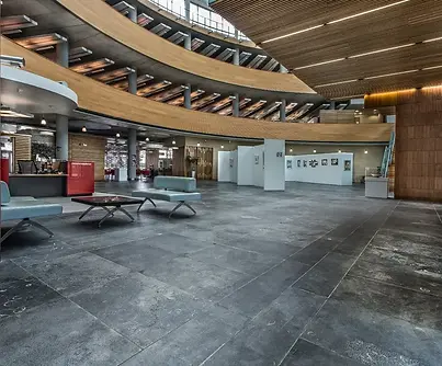 BLAUWE HARDSTEEN 05.webp