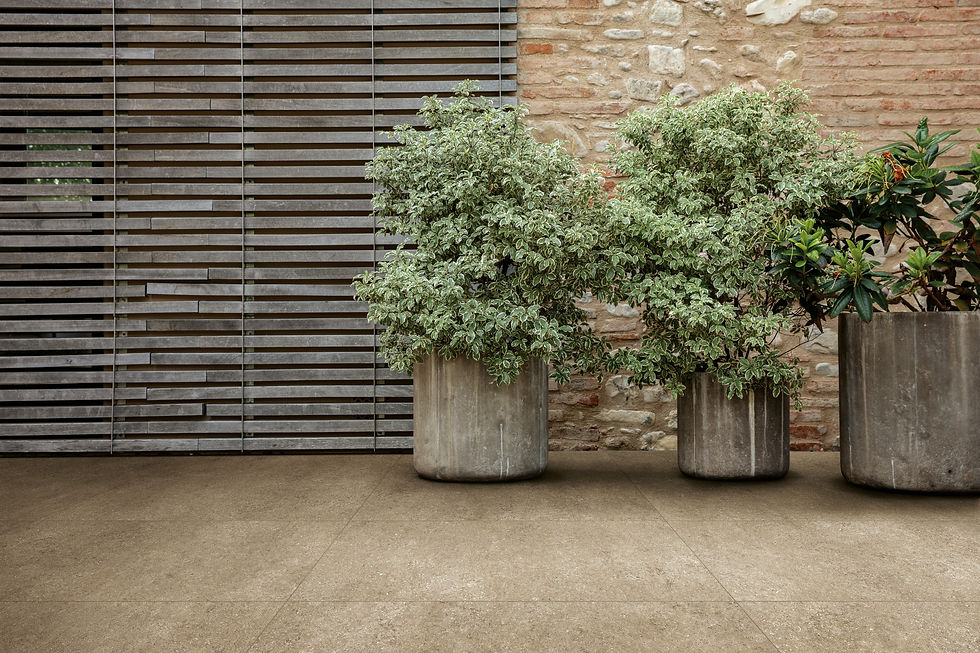 Thumbnail: Sensi taupe fossil