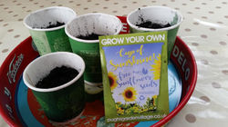 32087254_1898485066862351_58190842096118