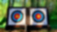 Two archery targets in front of a safety net.