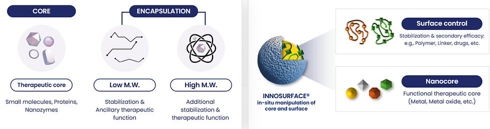INNOSURFACE® platform formulation diagram