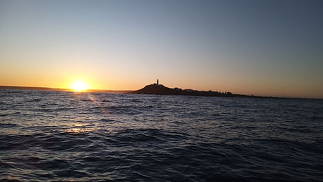 IMG_20241012_063700_615 (1).jpg