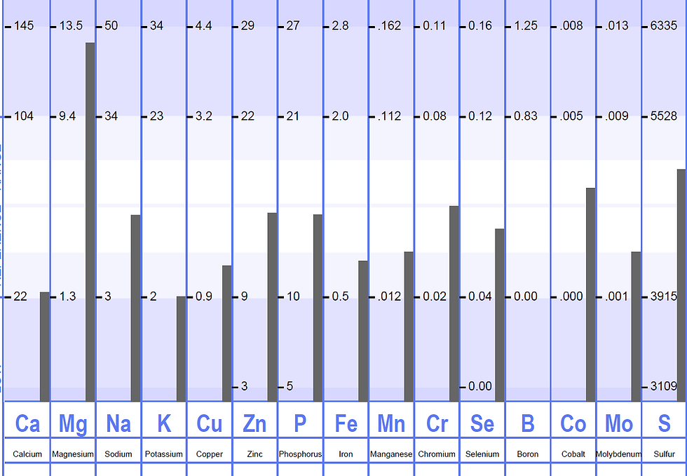 Hair Tissue Mineral Analysis - HTMA labs with Knox Holistic Health