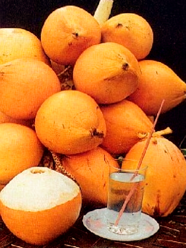The King Coconut is yellow color and the coconut water taste great