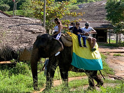 Saumya & chathuni SL Tour - Group Photo.jpg