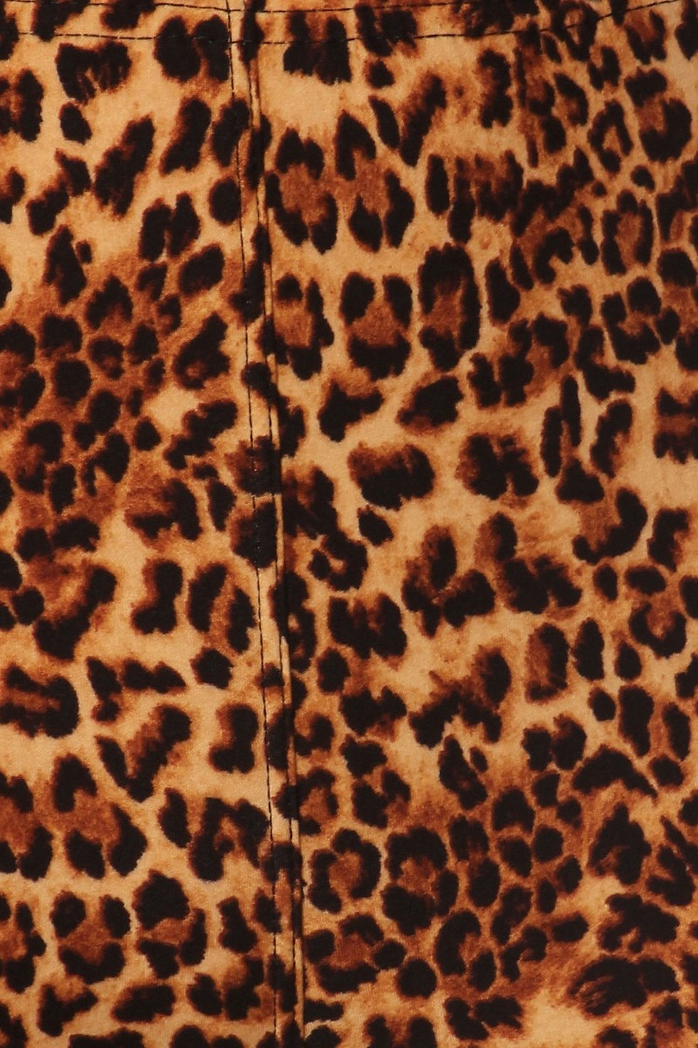 Thumbnail: Brown Leopard (0-10)