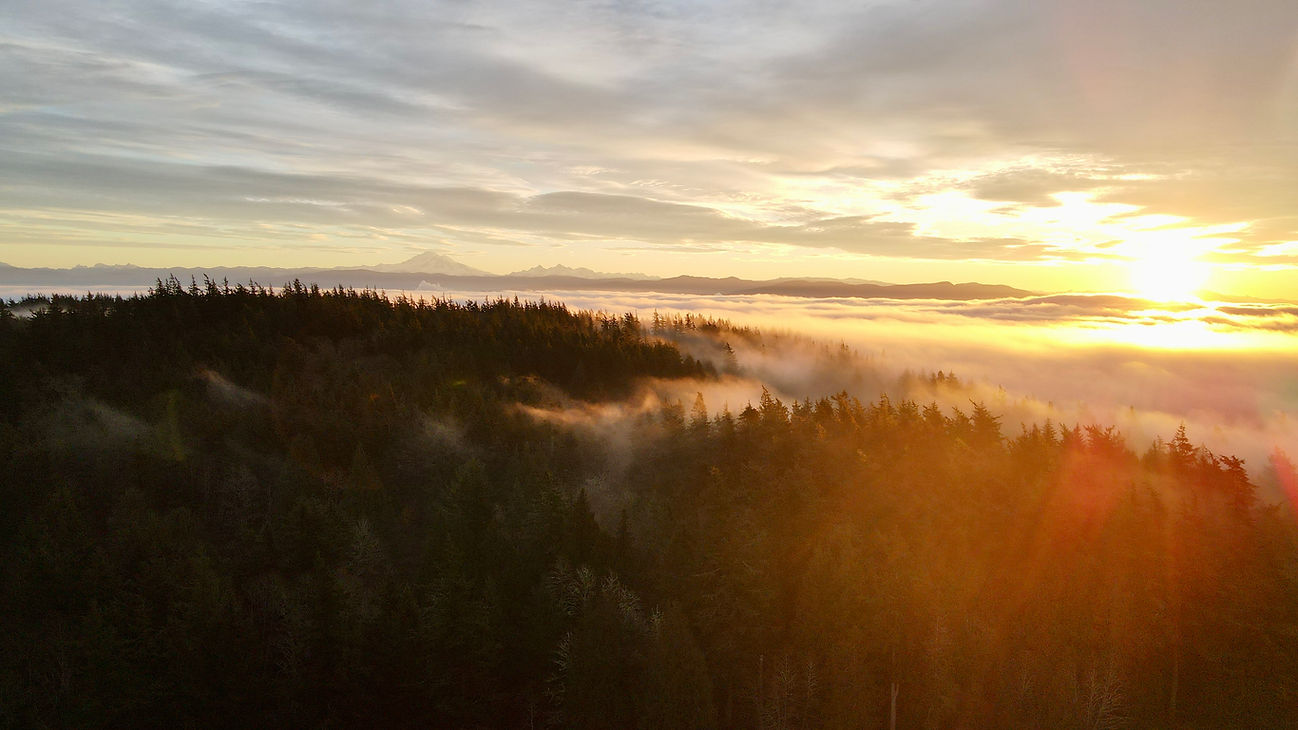 dji_fly_20241205_080314_33_1733414603064_photo.jpg