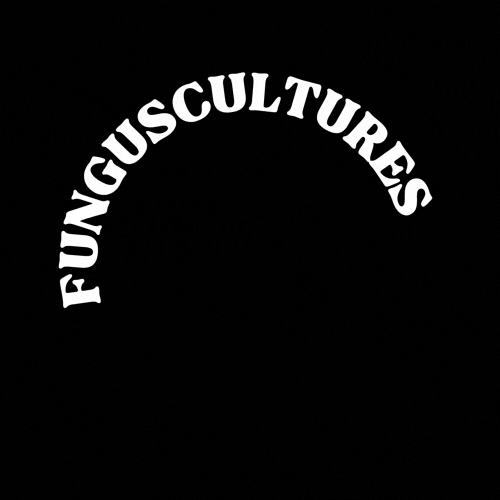 FC.gif