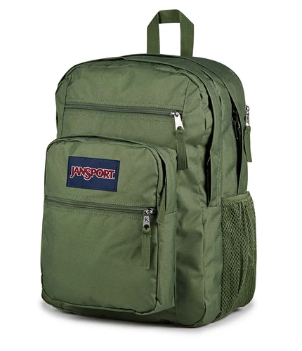 backpack for laptop and workout Sleek Backpack