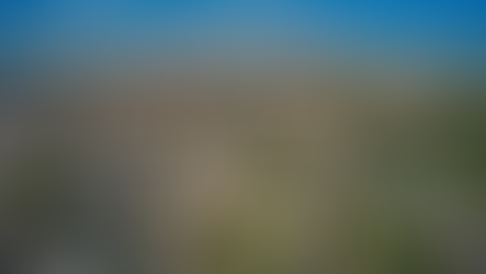 Riding the Highs and Weathering the Lows: Wyoming’s Economy Shows Resilience