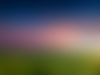 Wyoming is Sunny-Side Up According to a Breakfast Company Survey