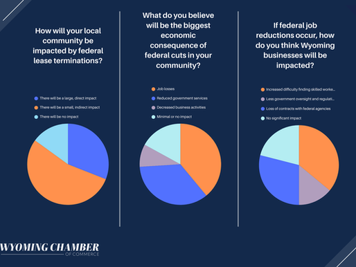 Poll Results: The Impact of Federal Cuts on Local Communities