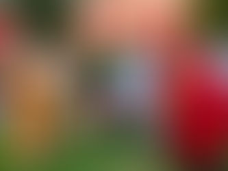 Nice fête sa rentrée