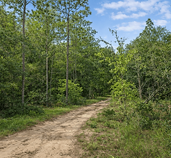 Florida Land Hack! 0.20 Acre • No State Income Tax • Build, Tiny Home, or Rent for Profit!