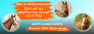 May is Adopt A Horse Month!