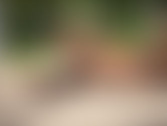 Rolling into the New Year full of gratitude.