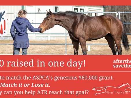 Day 1 Update: $11,500 raised! $48,500 left to match!