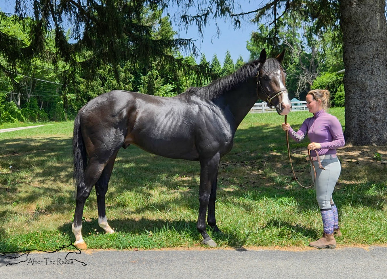 まるポン 様 ＊thoroughbred、rosy、followingday Tizafastbullet