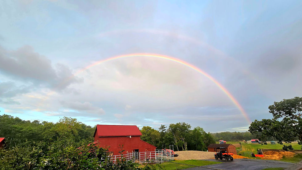 The peace that often comes after a summer storm.