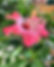 6CC93686-9B71-4F29-8FBA-66B60BC6B882.jpeg