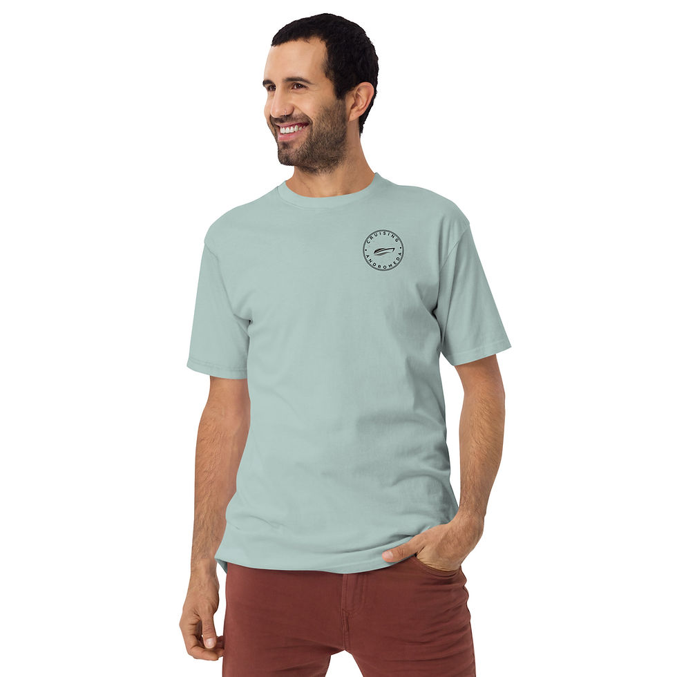 Thumbnail: Unisex (men's sizing) premium heavyweight tee