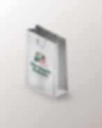 Renoir Graphiq Logo Design