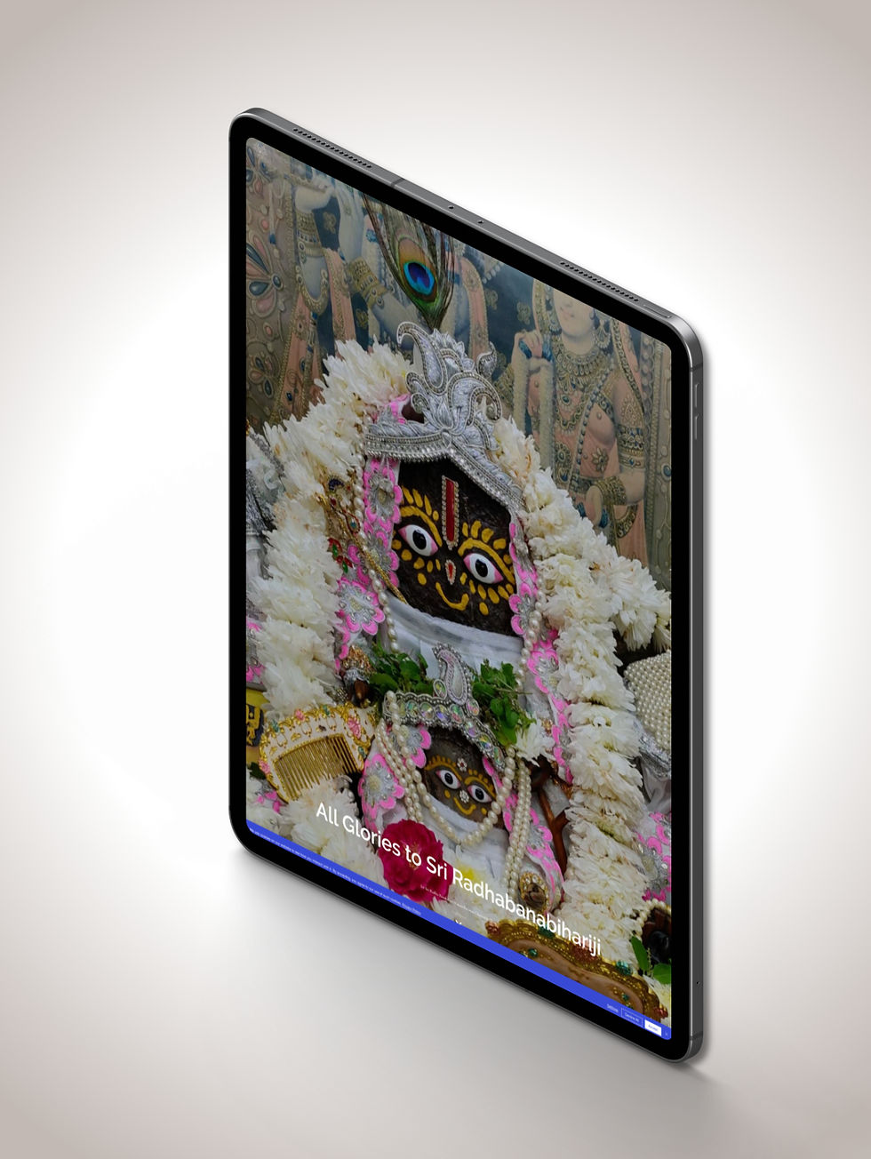 Renoir Graphiq Web Design