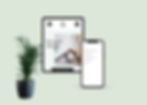 RENOIR GRAPHIQ WEB DESIGN
