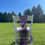 Thumbnail: Chair Sash