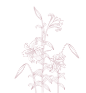 69.png
