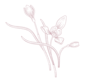 56.png