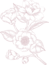 54.png