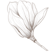 3_edited.png