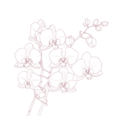 71.png